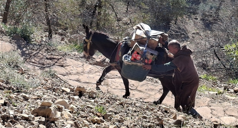 2026-01-12 Agadir 20260112_112114_ji.jpg